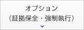 オプション